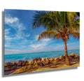Palm tree on a rocky beach with clear blue sky and ocean in Key West, Florida
