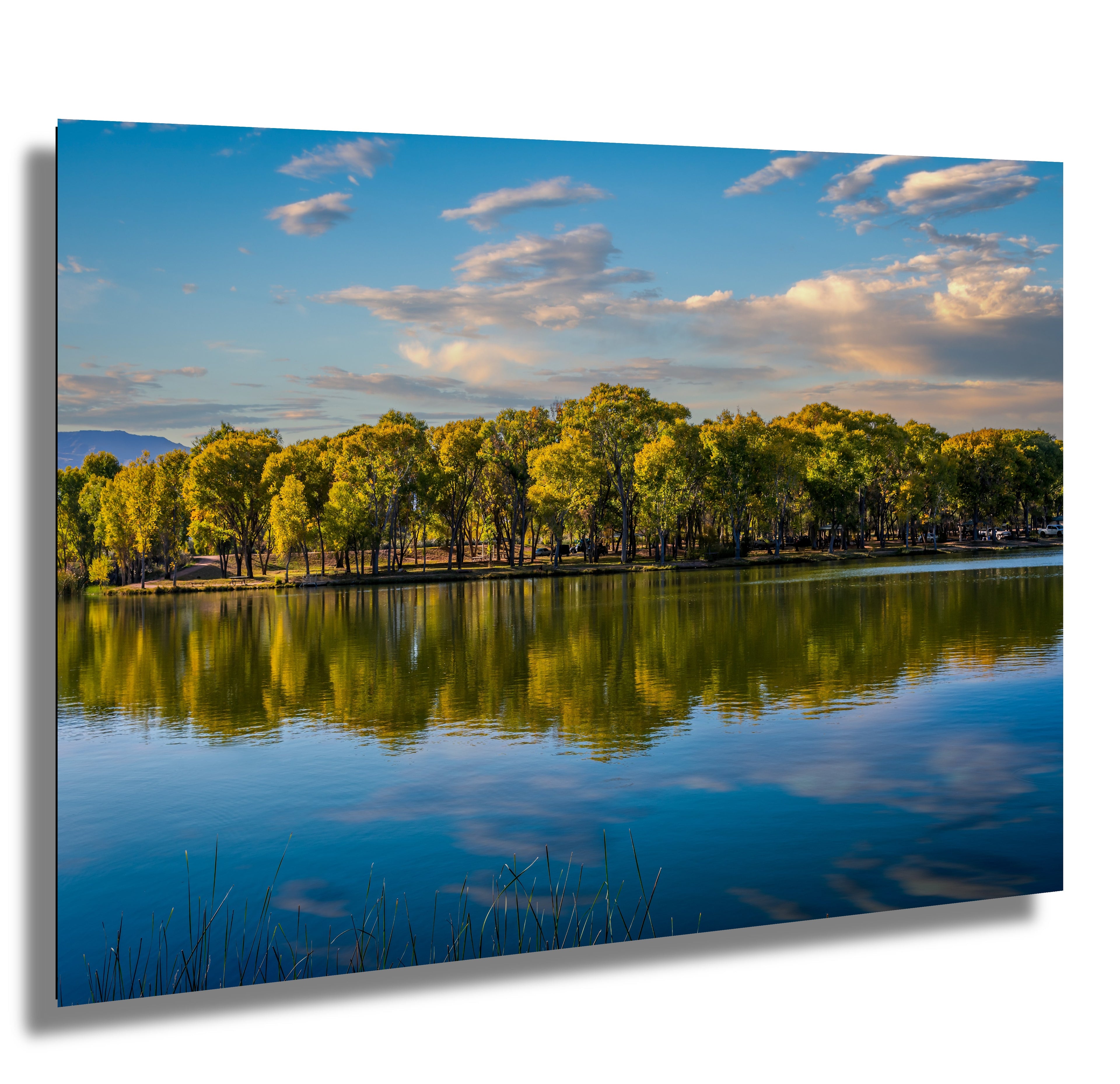 Lake Reflection: Cottonwood Arizona Nature Photography Wall Art