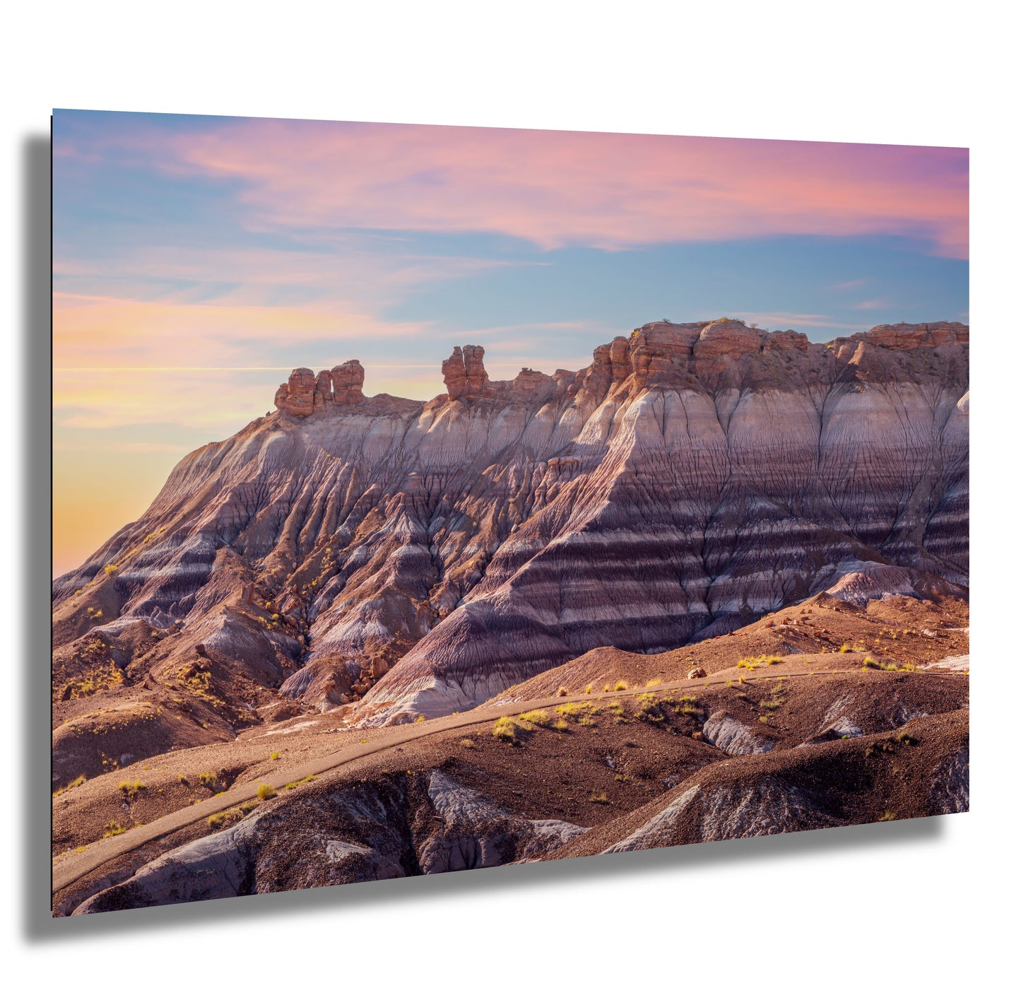Petrified Forest Arizona Landscape Photography Wall Art Photography