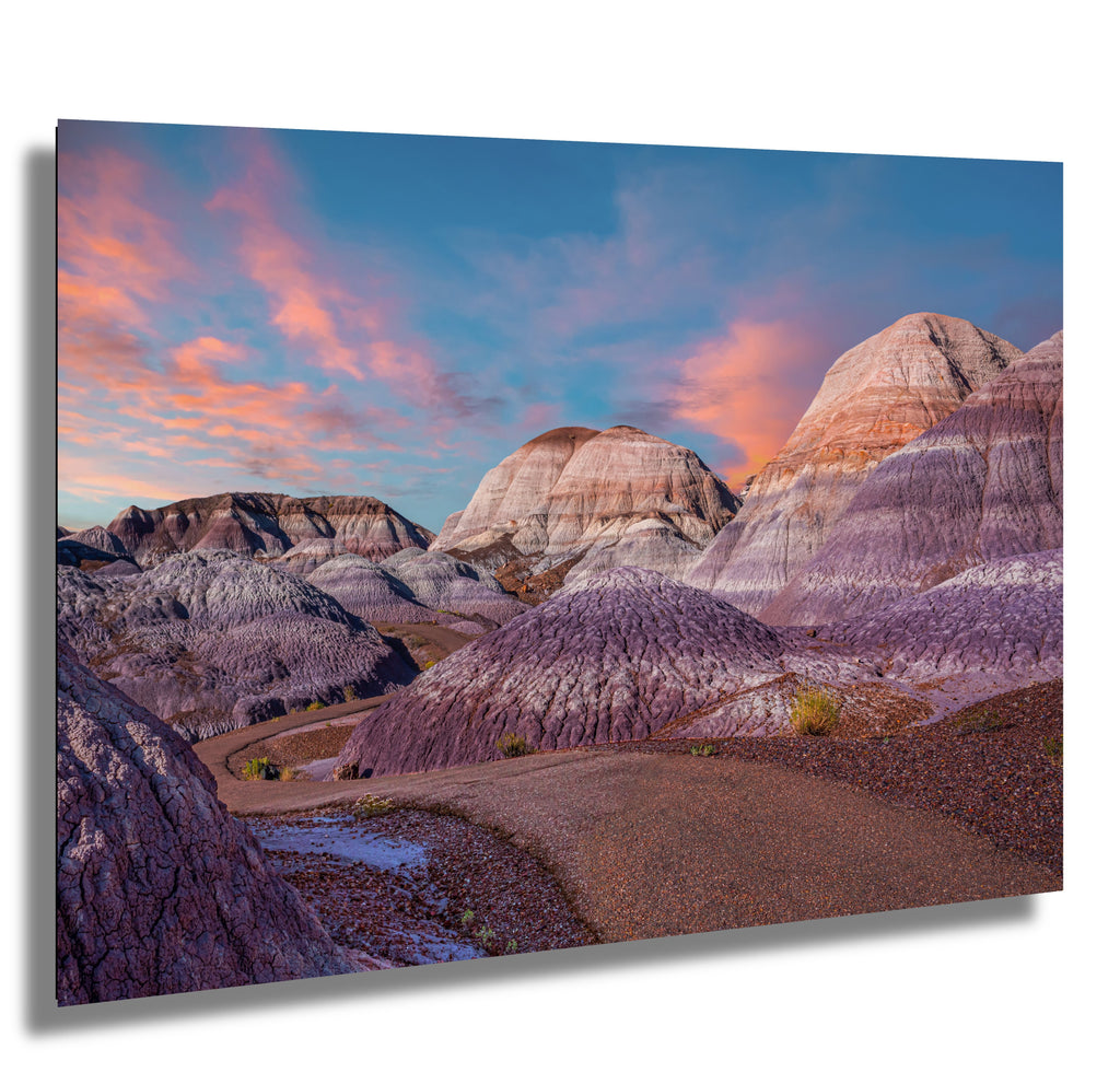Nature's Ancient Relics: Petrified Forest National Park Arizona Wall Art Photography