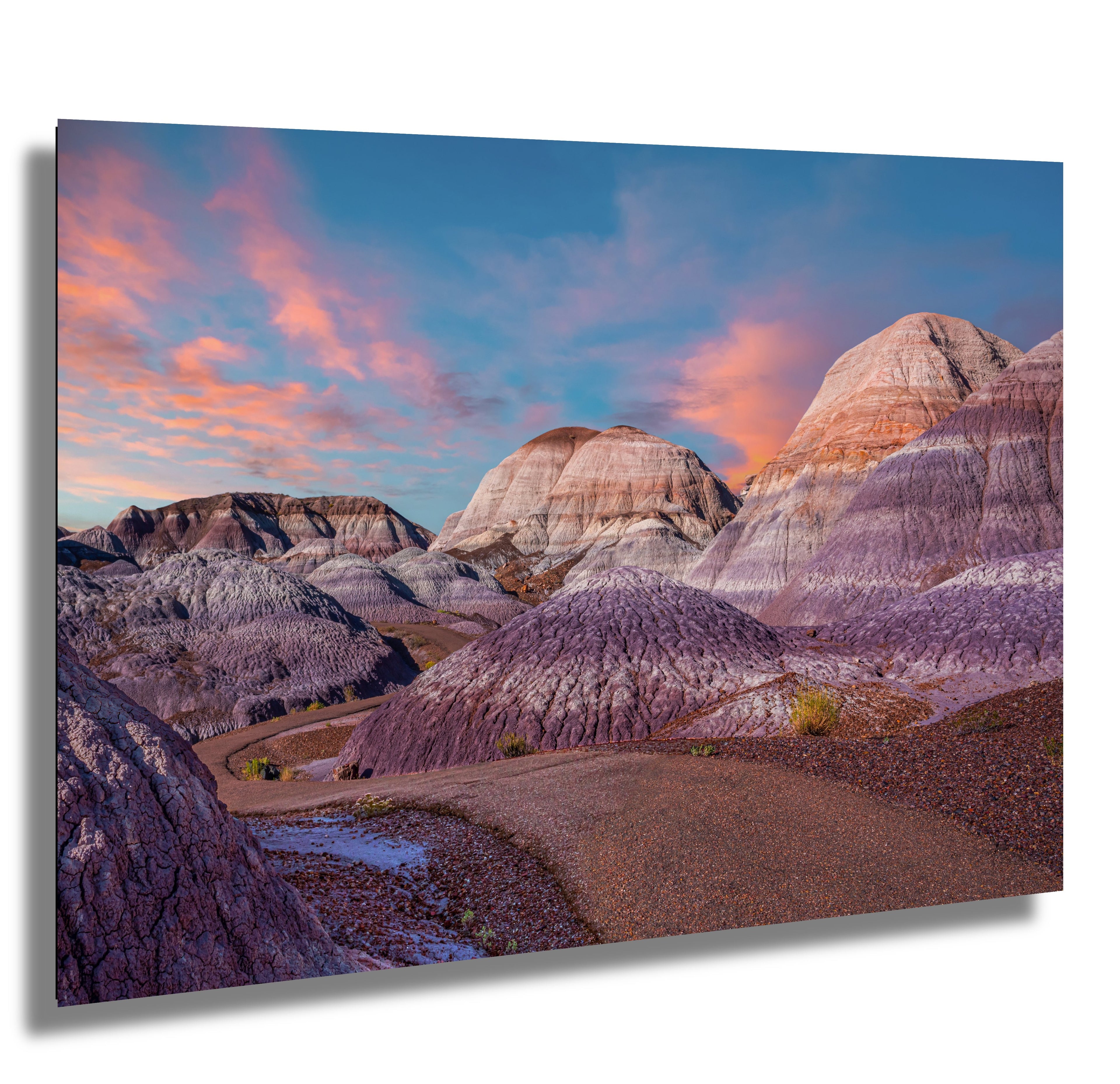Nature's Ancient Relics: Petrified Forest National Park Arizona Wall Art Photography