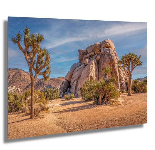 Joshua Tree Rock Art - California Desert Landscape Canvas Print | Premium Wall Decor