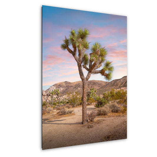 Joshua Tree Wall Art – California Desert Landscape Print on Premium Photo Paper