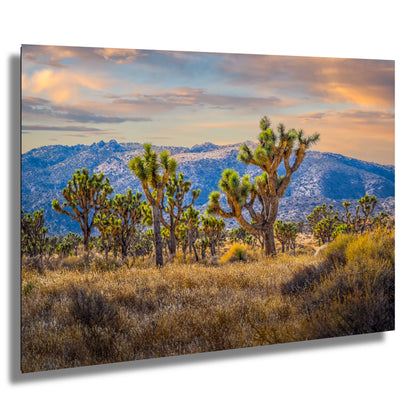 Joshua Tree Wall Art - California Desert Landscape Canvas Print | Rugged Rock Decor