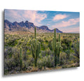 Catalina State Park Saguaro Sunset - Tucson Arizona Desert Mountains Photography Print