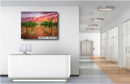 Arizona Wine Country: Coronado Vineyards Landscape Photography Wall Art