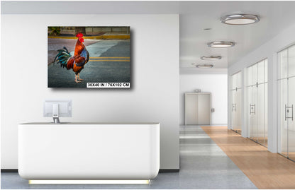 City Cock-a-Doodle-Doo: Rooster Traffic Stop Florida Key West Animal Metal Canvas Print Wall Art Decor
