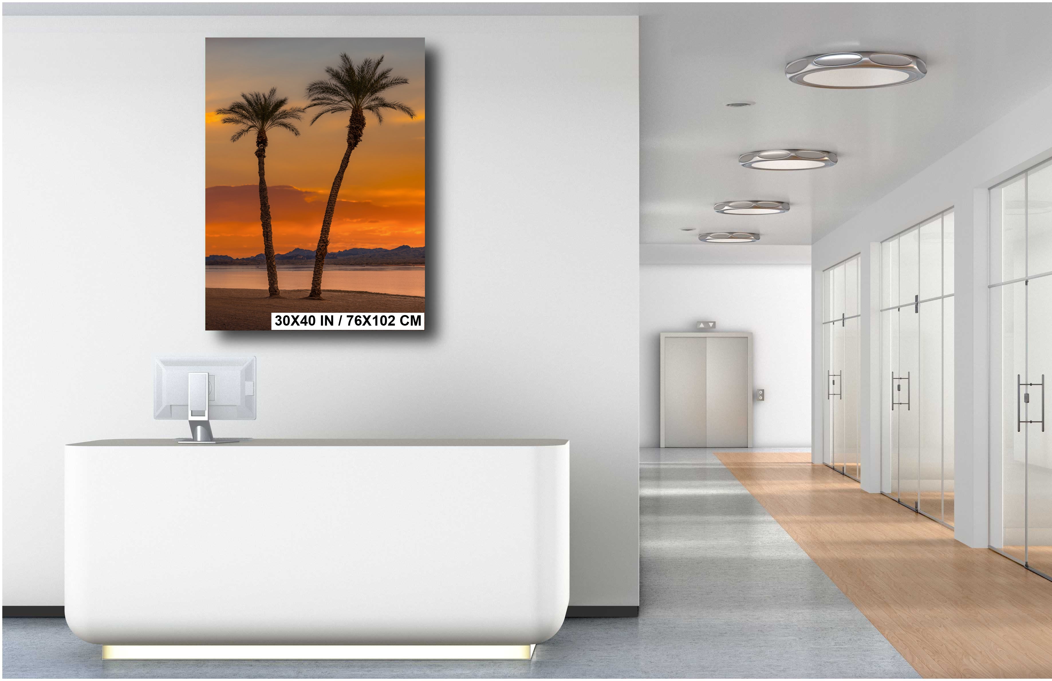 Lake Havasu Palm Tree Arizona Desert Nature Photography Wall Art
