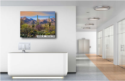 Desert Splendor: Saguaro Cactus Acrylic Metal Wall Art American Southwest Landscape Desert Photography