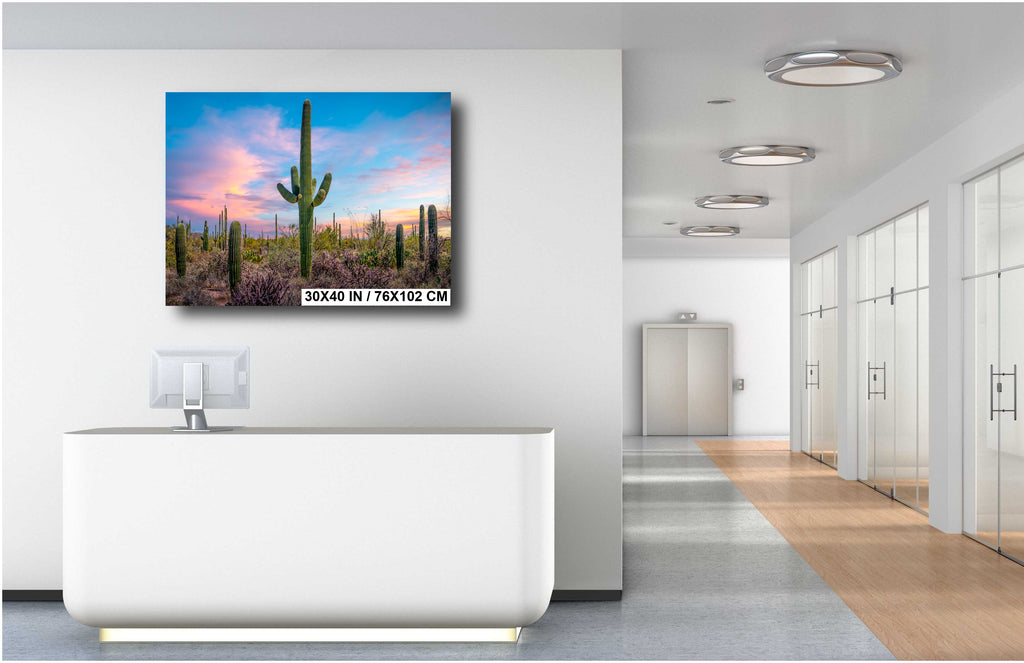Saguaro Cactus Desert: Arizona Landscape Photography Wall Art
