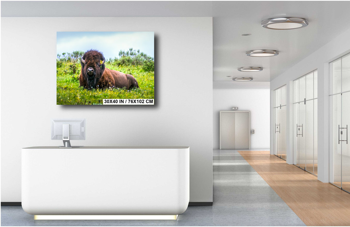 Flower Child: Bison Wildlife Photography Yellowstone National Park Poster Wyoming Nature Canvas Print