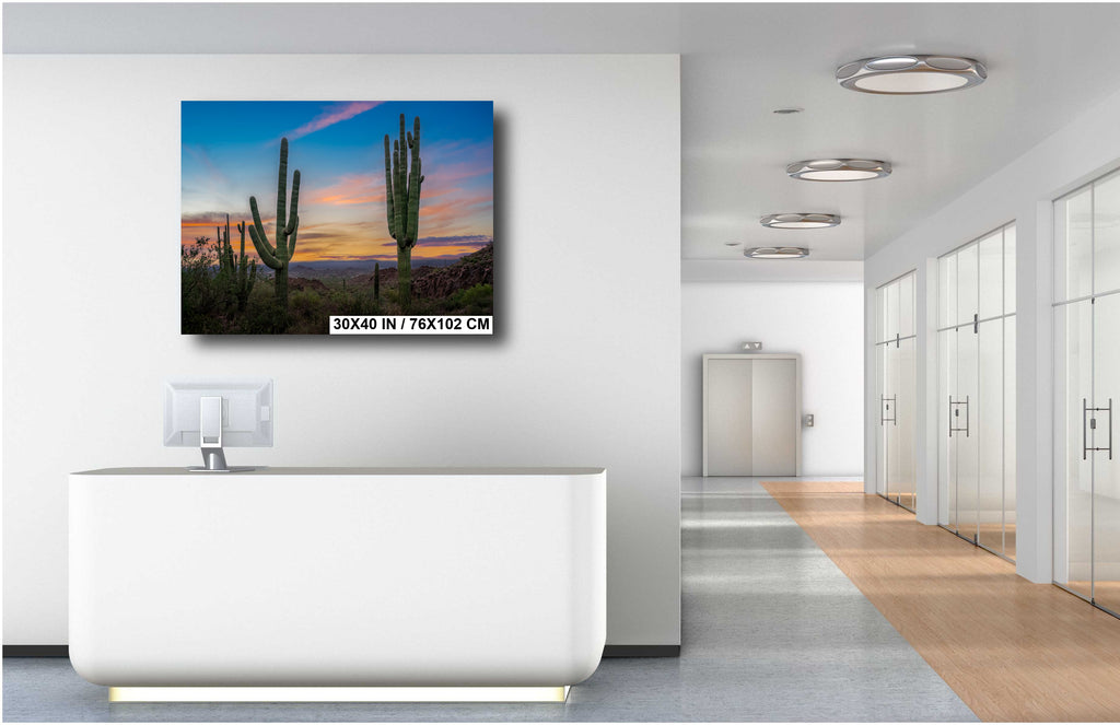 Saguaro Cactus Arizona Desert Landscape Photography Wall Art