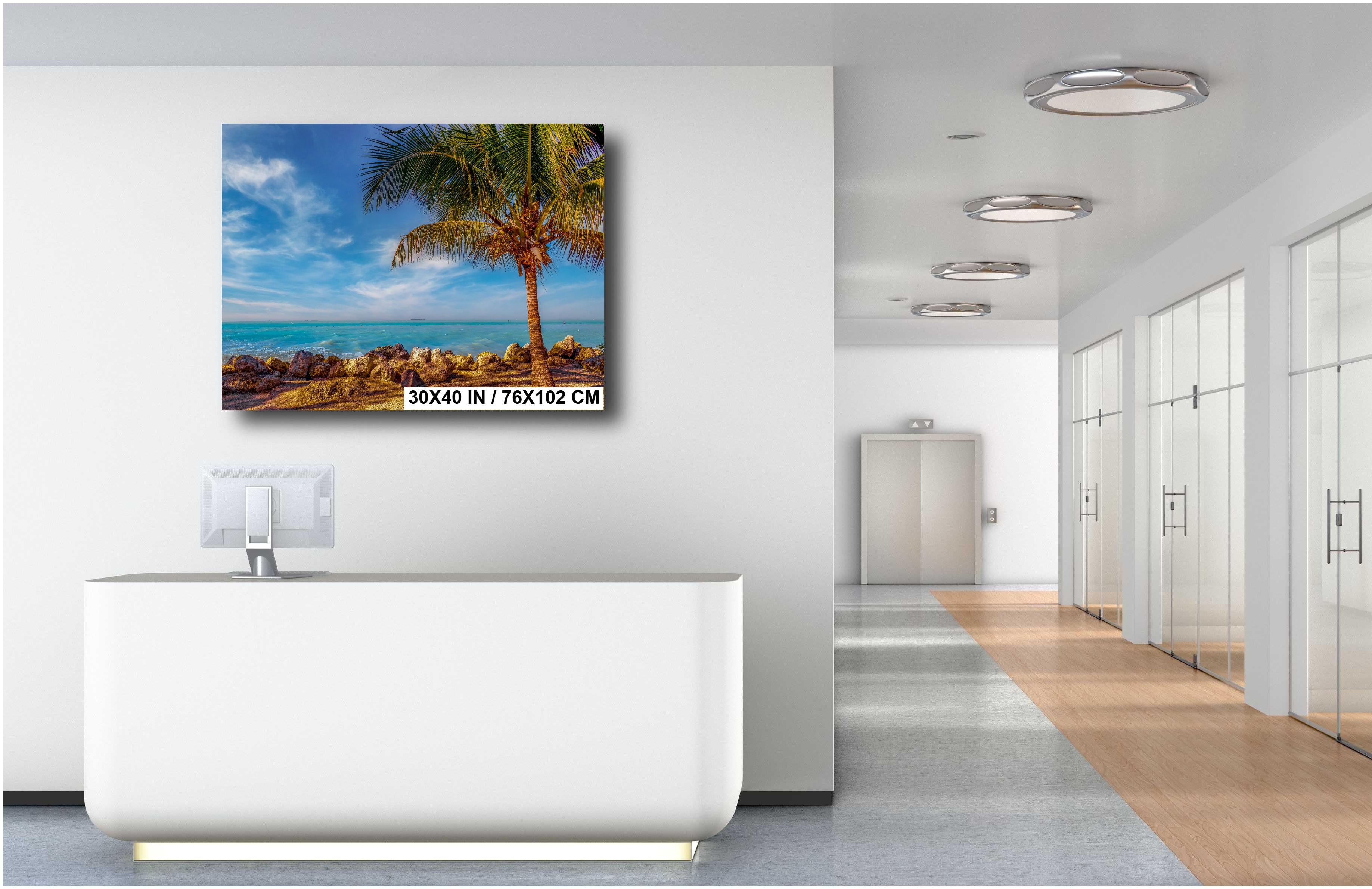 Key West Rocks: Solitary Palm and Ocean View Metal Aluminum Print Florida Seascape Wall Art Home Decor