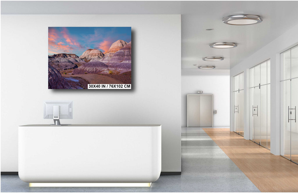 Nature's Ancient Relics: Petrified Forest National Park Arizona Wall Art Photography