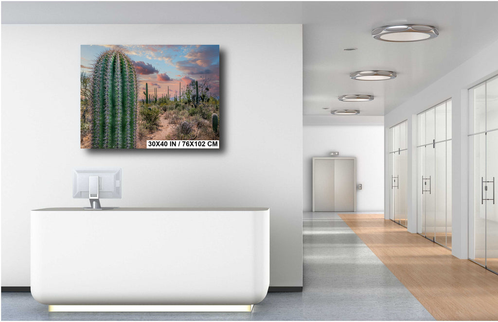 Saguaro Cactus Sunset Gold Canyon Arizona Photography Wall Art