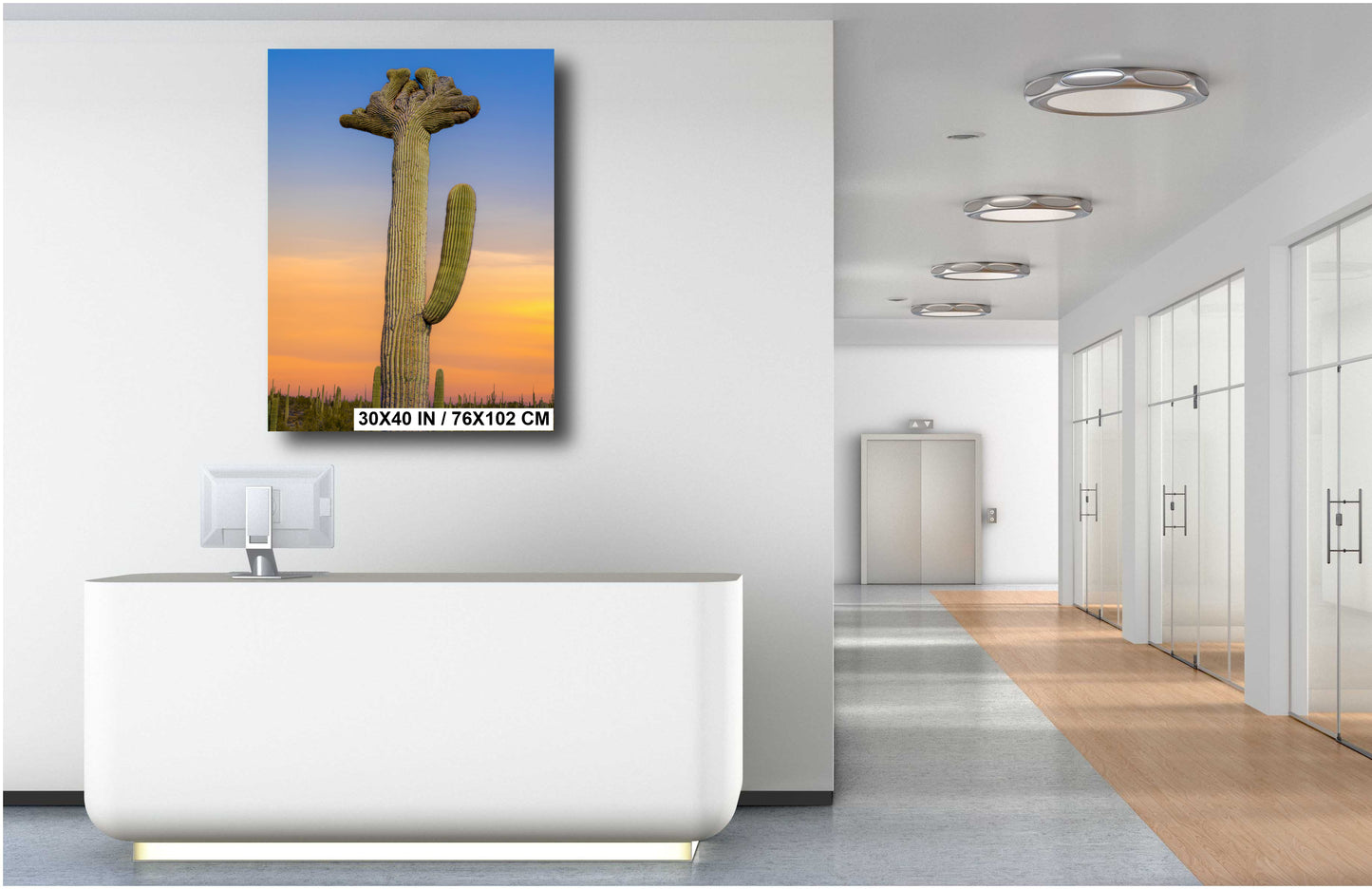 Quirky Crowns: Crested Saguaro Cactus Photography Wall Art