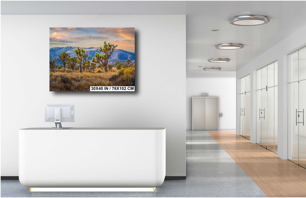 Joshua Tree National Park Print: California Landscape Wall Art