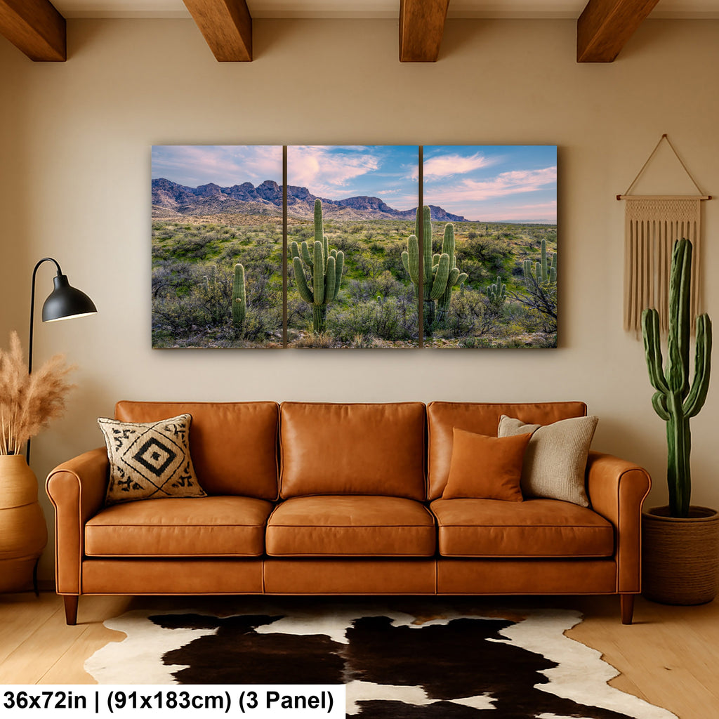 Catalina State Park Saguaro Sunset - Tucson Arizona Desert Mountains Photography Print