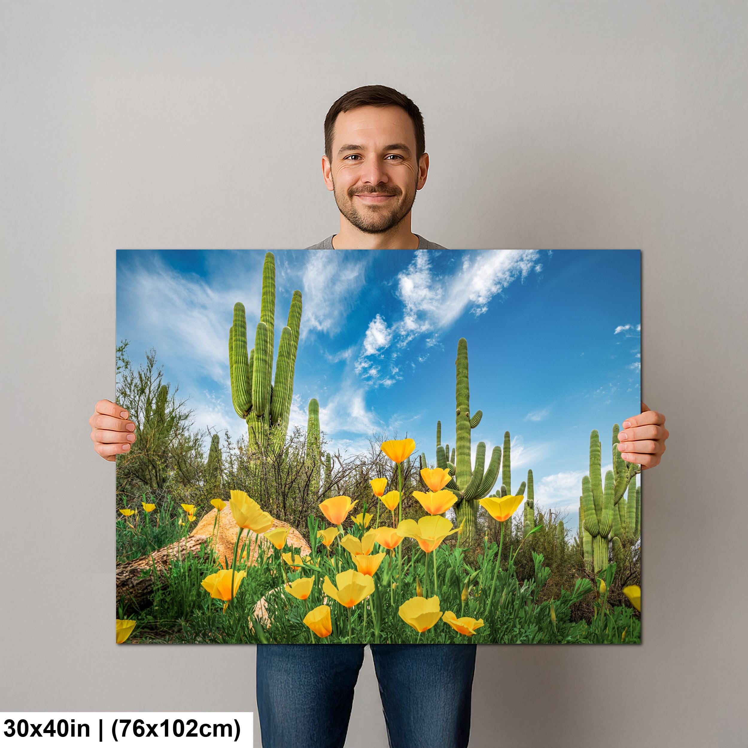 Sonoran Desert Yellow Poppies with Saguaros - Catalina State Park Tucson Arizona Photography Print
