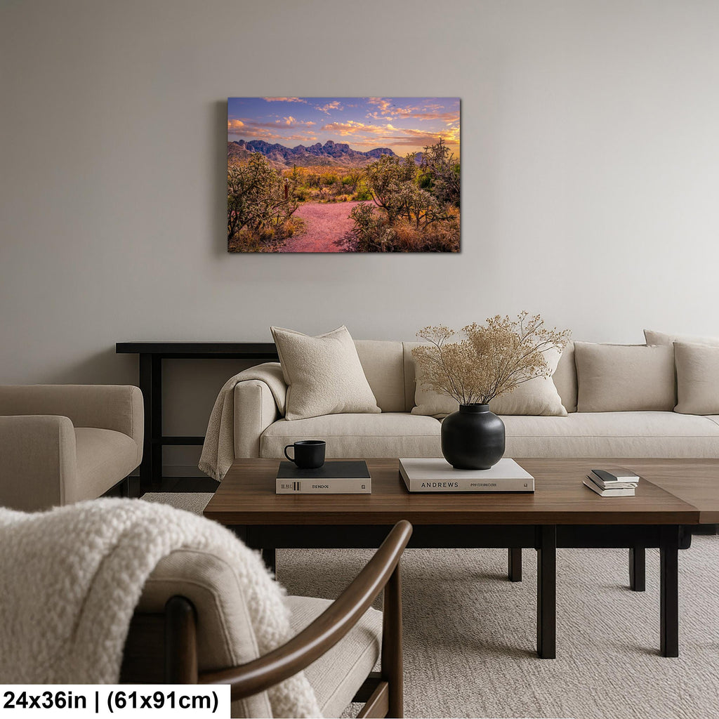Sonoran Desert Trail Through Cholla Cactus - Tucson Arizona Mountain Sunset Photography Print
