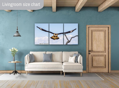 Crested Caracara in Flight: Arizona Desert Wildlife Photography Print