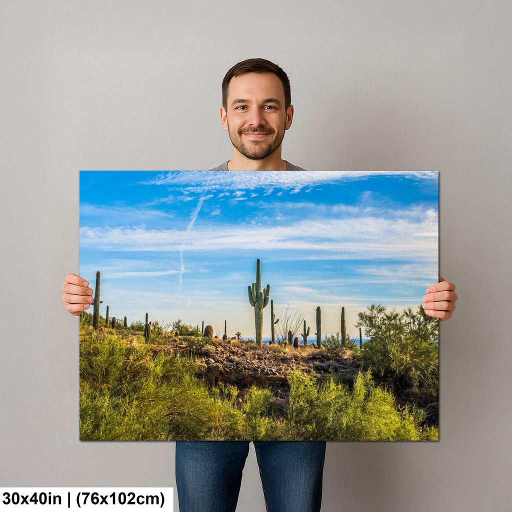 Golden Hour Saguaros at Usery Mountain Regional Park Mesa Arizona Desert Landscape Photography Print