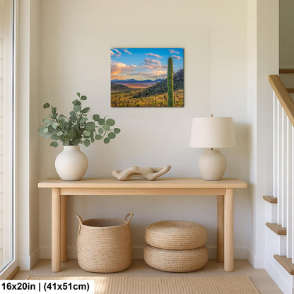 Desert Valley View with Saguaros, Casa Grande Arizona, Photography Wall Art