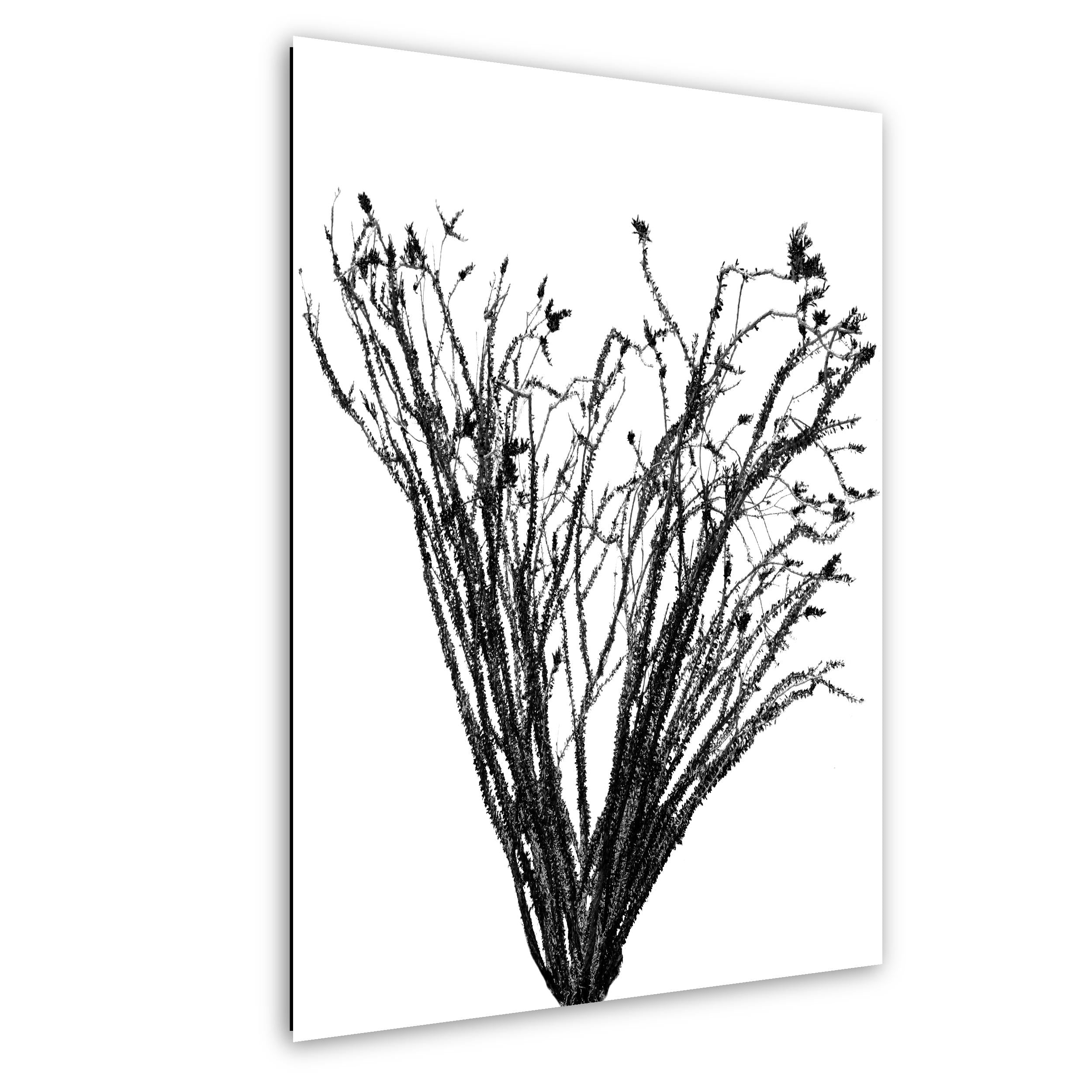 Black and white abstract art print of branches on a white background