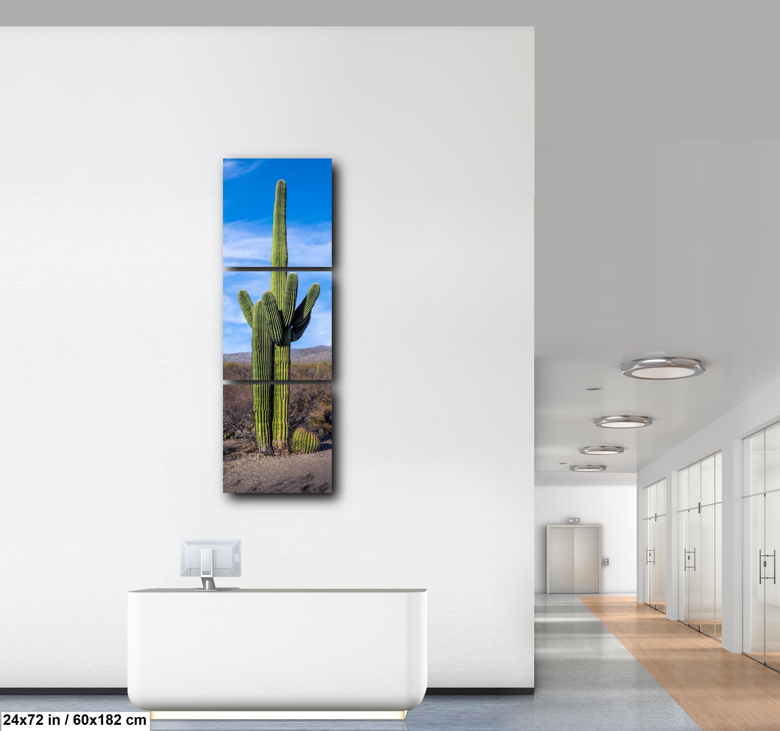 Towering Saguaro Against Blue Desert Sky Tucson Arizona Photography Print
