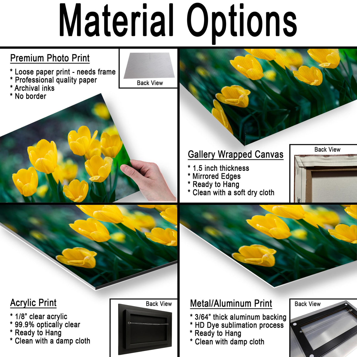 Sunlit Blooms: Yellow Tulip Flower Photography Botanical Floral Wall Art
