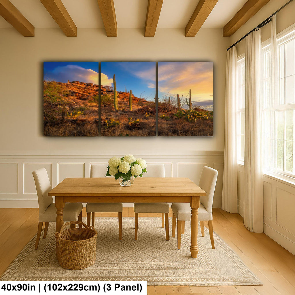 Sonoran Desert Sunset on Rocky Hillside - Saguaro National Park East Tucson Photography Print