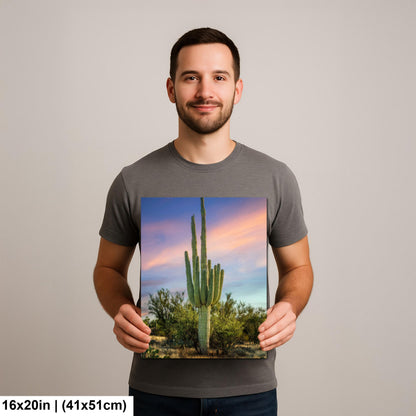 Oro Valley Saguaro at Dusk Photography Print, Tucson Arizona Desert Landscape, Southwestern Wall Art, Cactus Decor