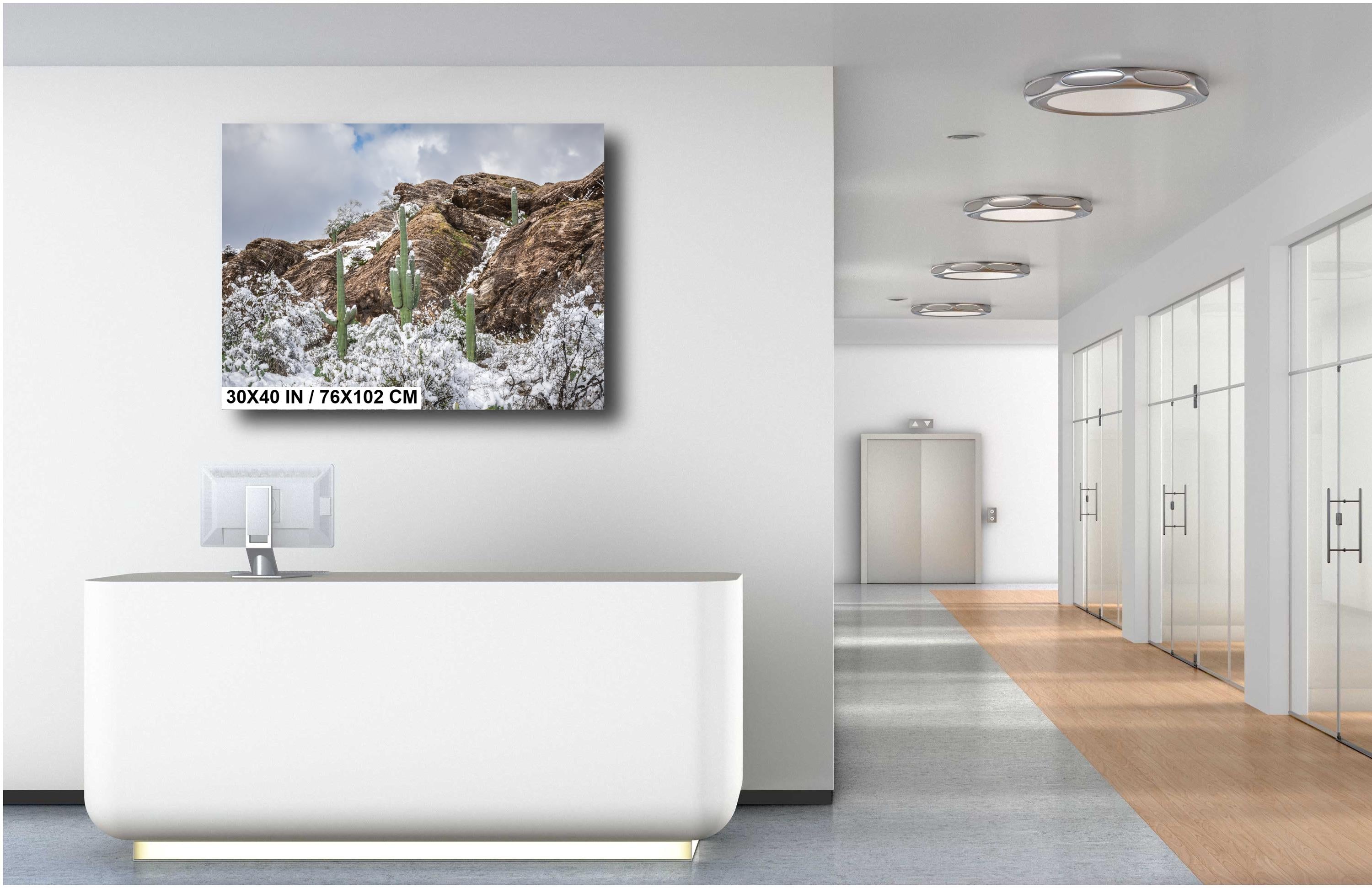 Saguaro National Park Winter Print: Tucson Arizona Desert Snow Scene