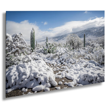 Saguaro Winter Wall Art - Desert Snowfall Art | Tucson Cactus Print Canvas