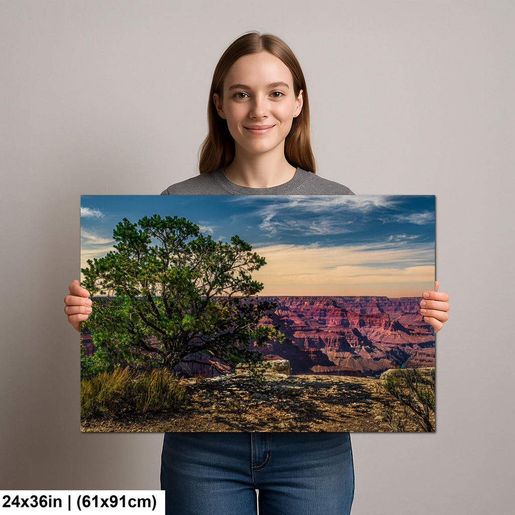 Juniper Tree Overlooking Grand Canyon, South Rim Arizona Wall Art, Canyon Landscape Photography Print