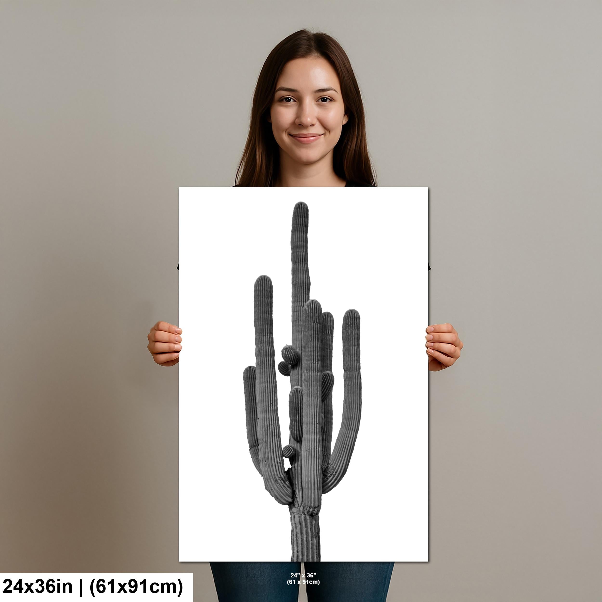 Joshua Tree Cholla Cactus Print: Black and White Desert Photography