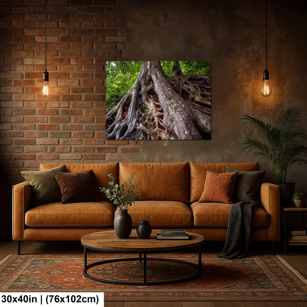 Tangled Roots: Medusa Tree Falls Park Greenville SC Nature Photo Wall Art