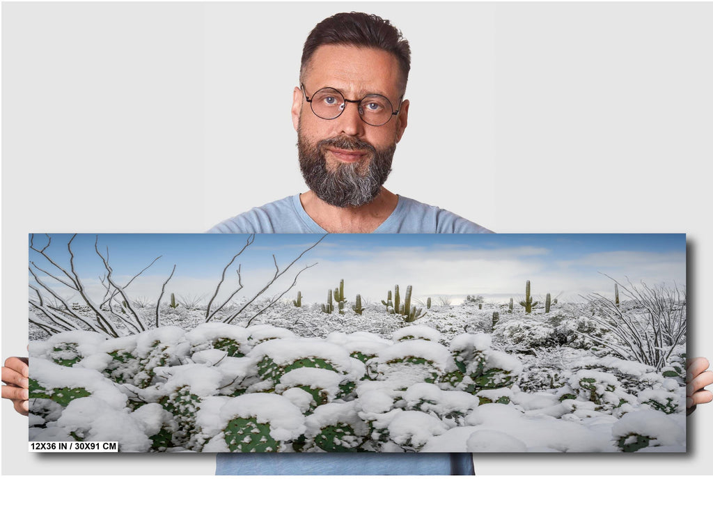 Saguaro National Park Winter Snow Print: Desert Cacti Wall Art