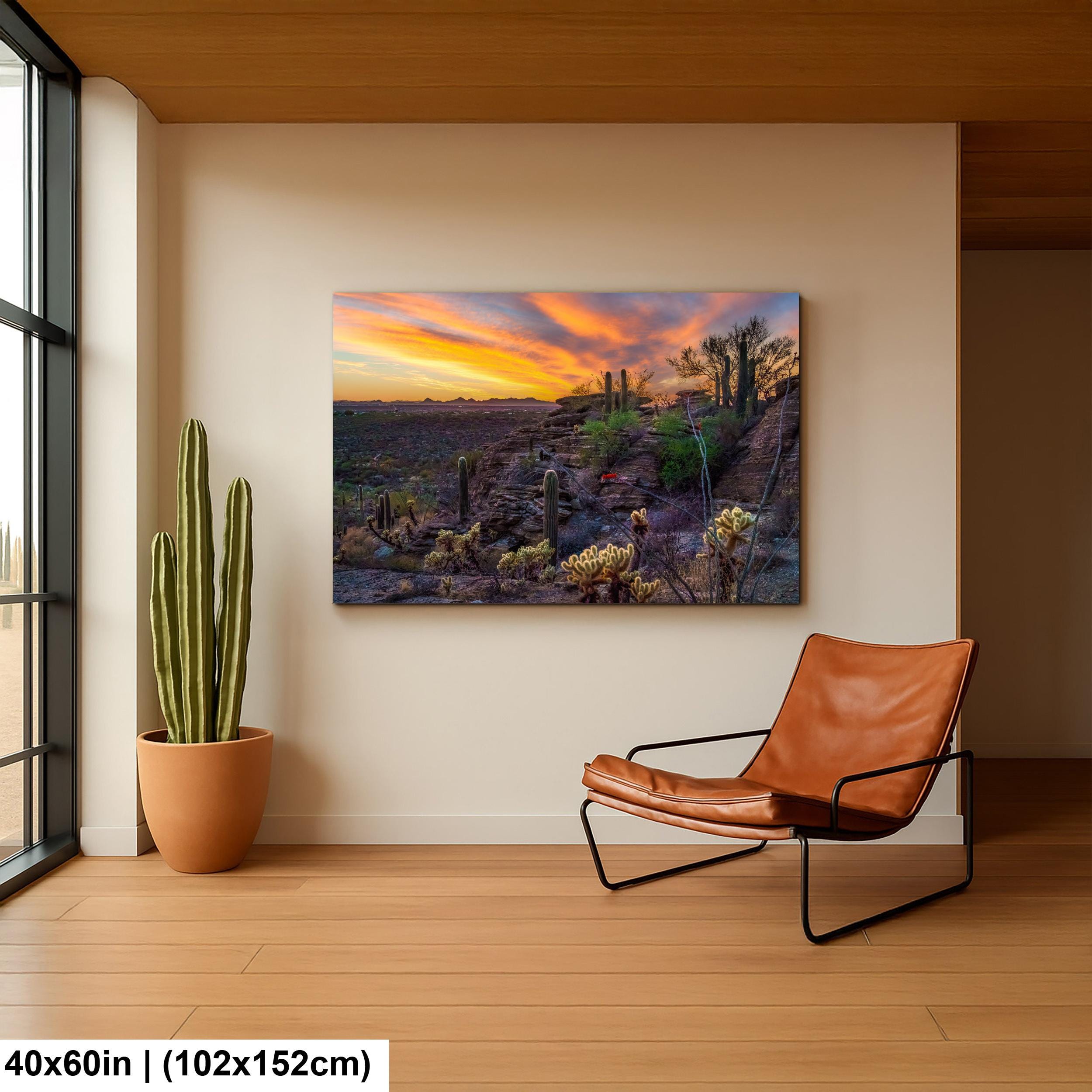 Sonoran Desert Sunset Overlook with Saguaros and Cholla Tucson Arizona Photography Print