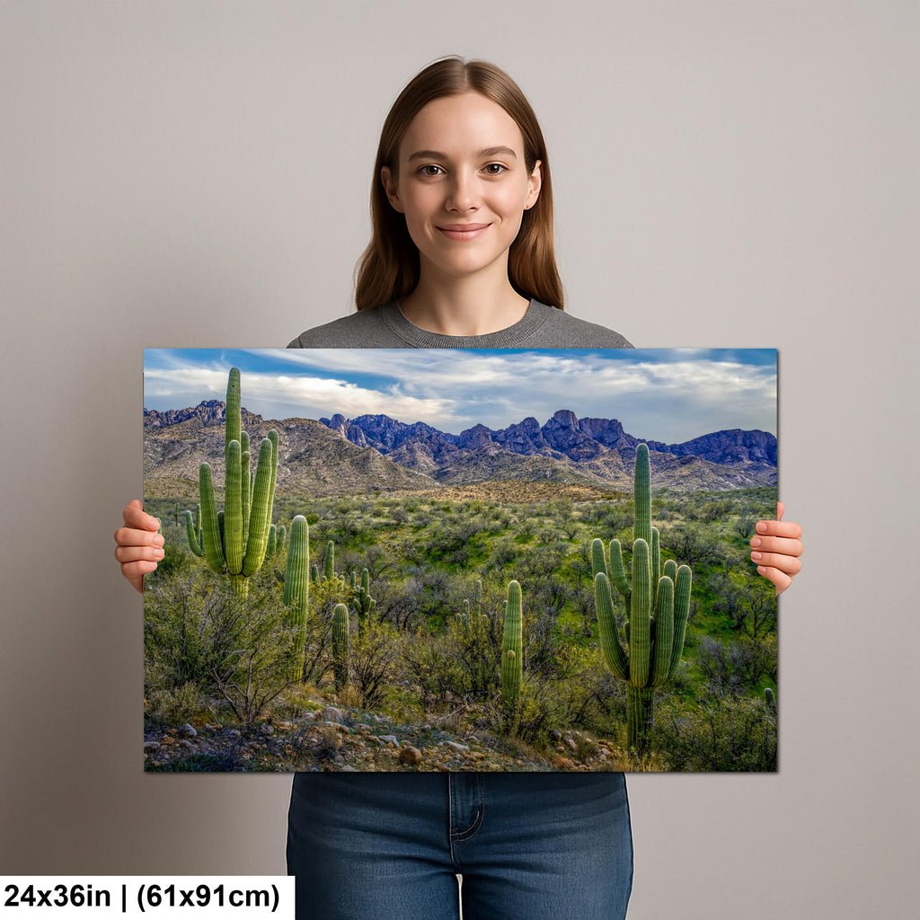 Sonoran Desert Landscape with Saguaros and Mountain Ridge - Tucson Arizona Photography Print