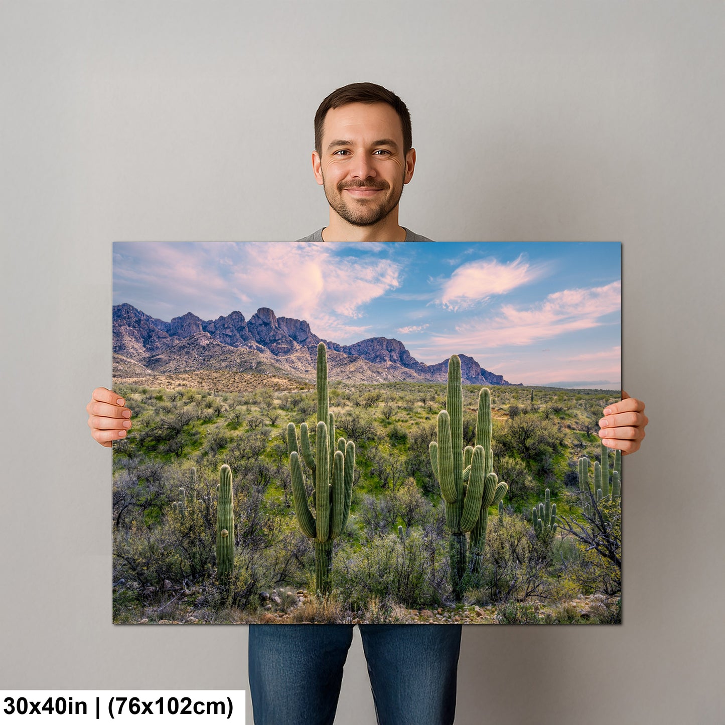 Catalina State Park Saguaro Sunset - Tucson Arizona Desert Mountains Photography Print