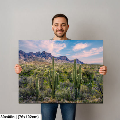 Catalina State Park Saguaro Sunset - Tucson Arizona Desert Mountains Photography Print