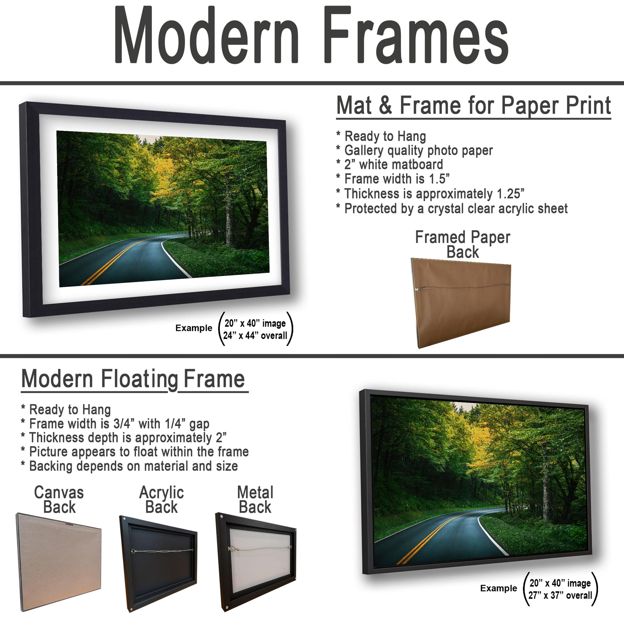 Forest Bend: Great Smoky Mountains National Park Road Photography Wall Art