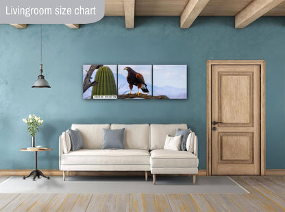 Harris's Hawk Desert Photography Print: Arizona Wildlife Art