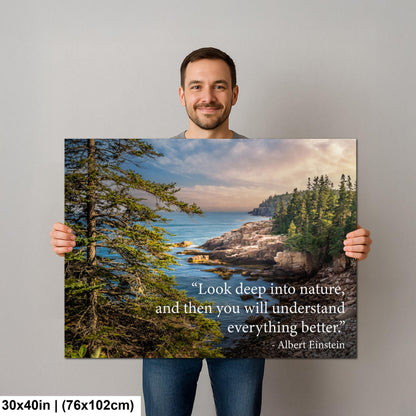 Albert Einstein Look Deep Into Nature Coastal Forest Motivational Photography Print