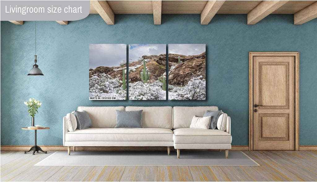 Saguaro National Park Winter Print: Tucson Arizona Desert Snow Scene