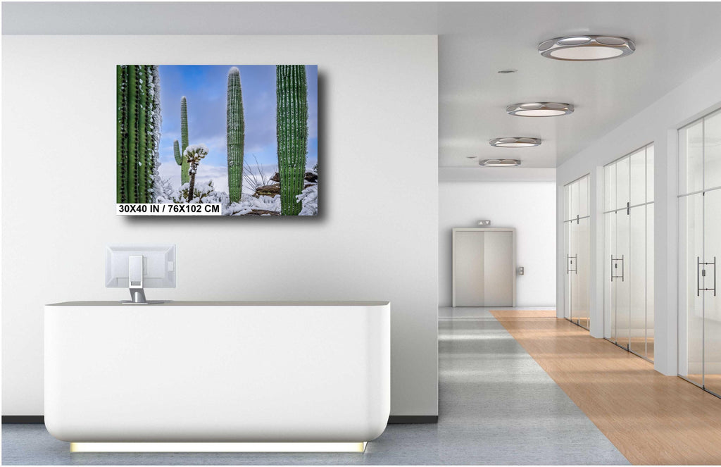 Saguaro Cactus Wall Art - Snow-Covered Desert Landscape Print | Southwest Art
