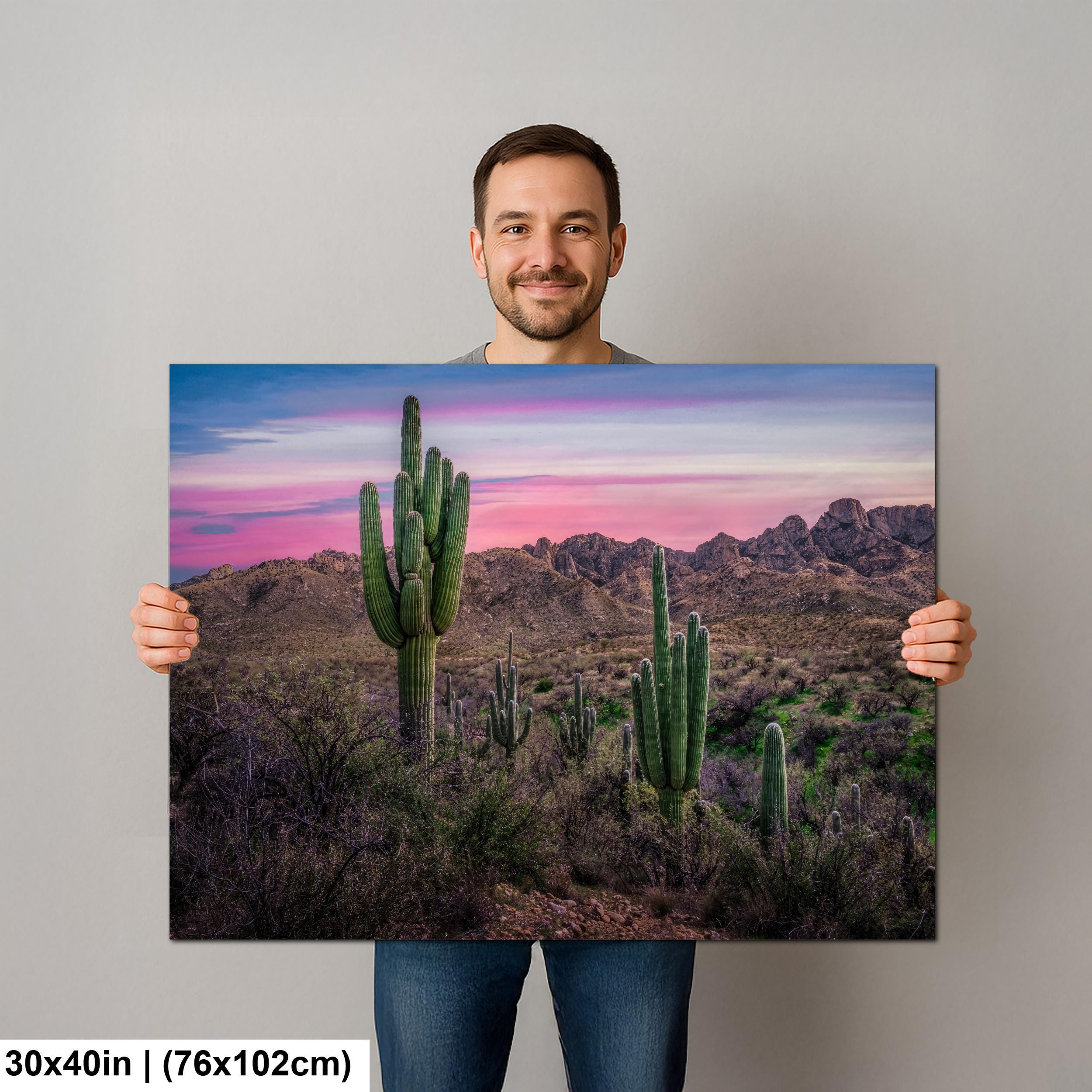 Sonoran Desert Sunset with Saguaros - Catalina State Park Tucson Arizona Photography Print
