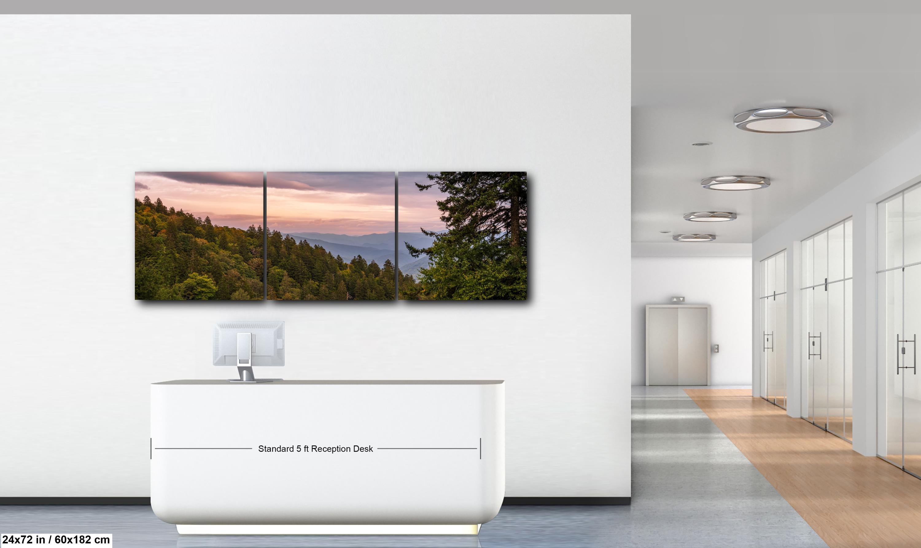 Evergreen Ridge: Great Smoky Mountains National Park TN NC Photo Wall Art