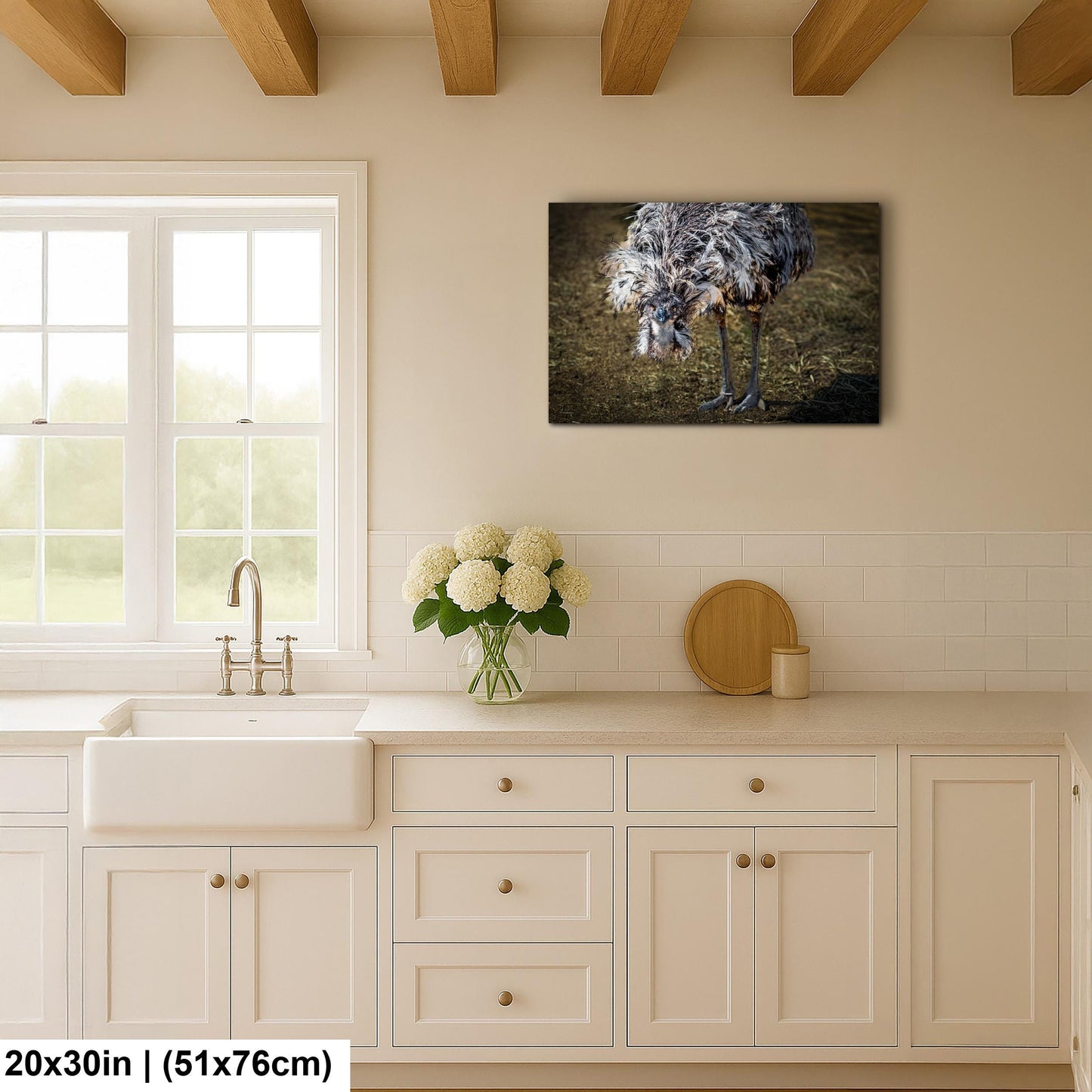 Emu Wildlife Portrait with Textured Feathers - Benson Arizona Photography Print